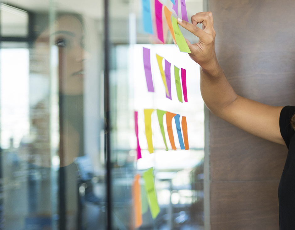 equipos profesionales freelancers